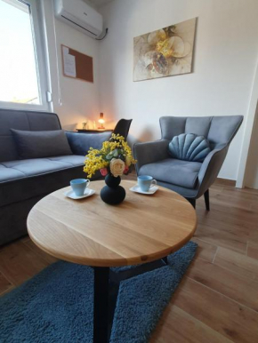 Apartment No 11
